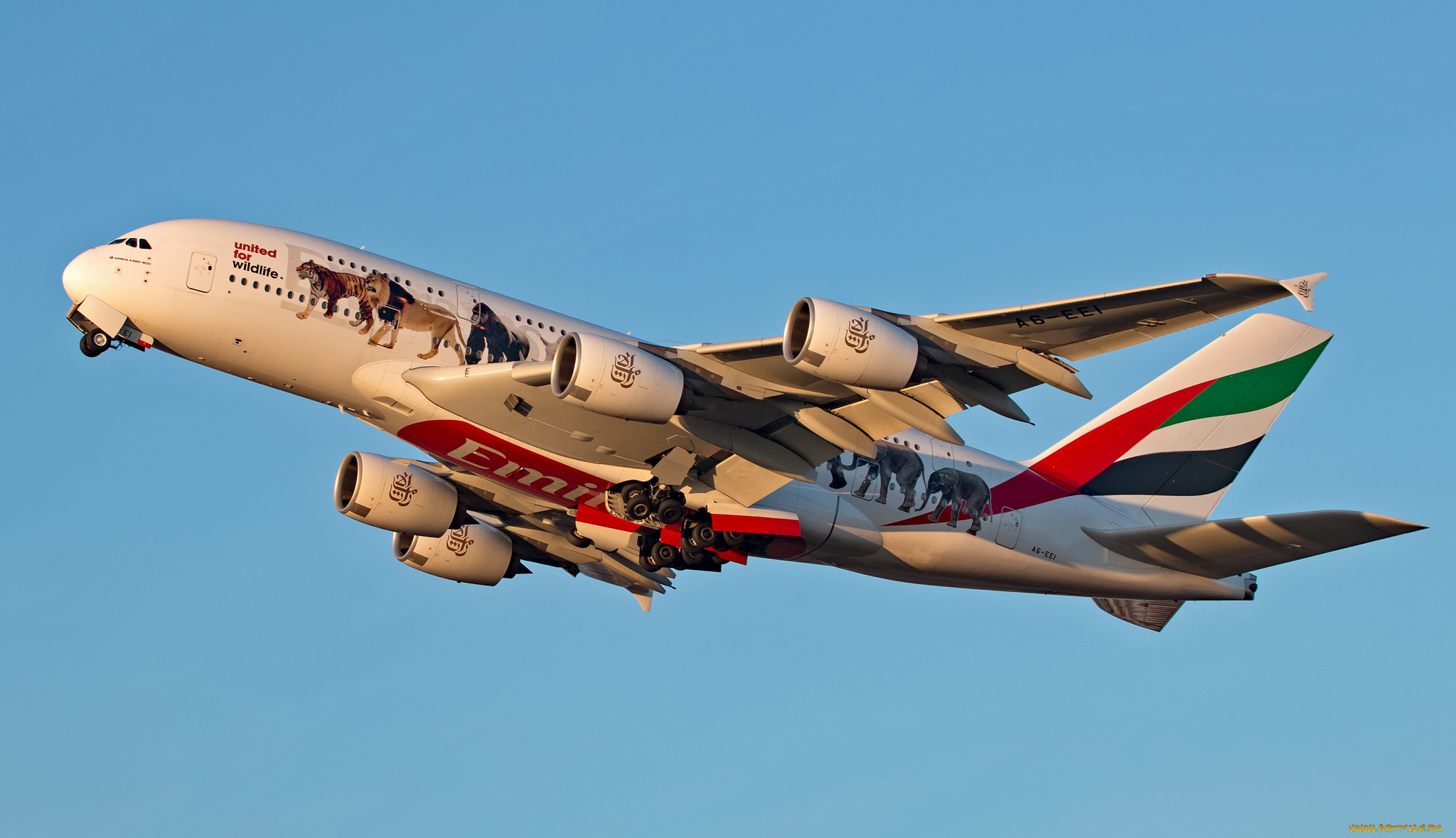 airbus a380-861, ,  , 